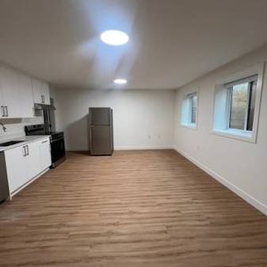 2 bedroom brand new basement suite North Delta - Photo 2