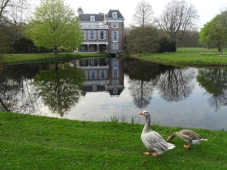 Thérèse Schwartzestraat 20, Uilennest, 2597XJ, Den Haag - Photo 3