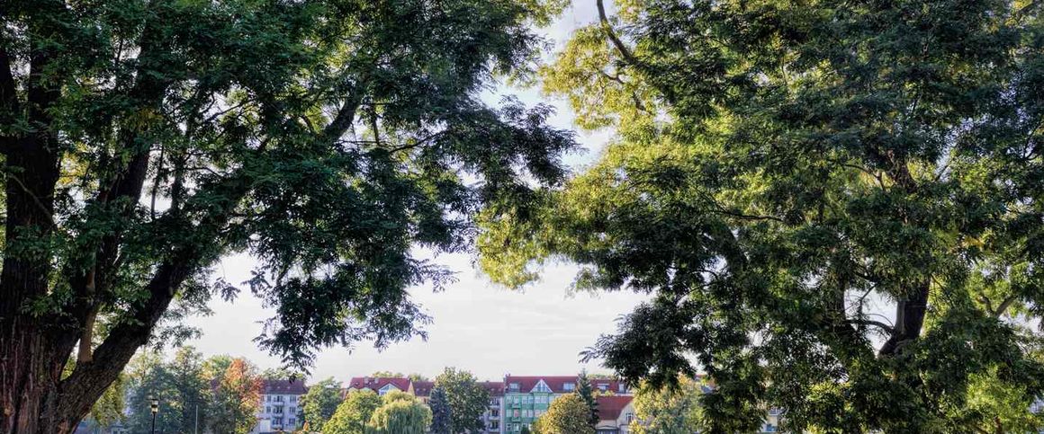 Wohnen mit zwei Terrassen - Barrierefreie 2-Zimmer-Wohnung im Erdgeschoss - Foto 1