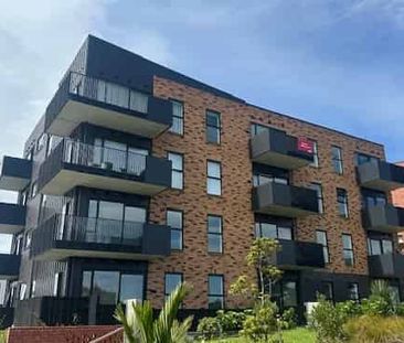 Top Level Apartment - Photo 3