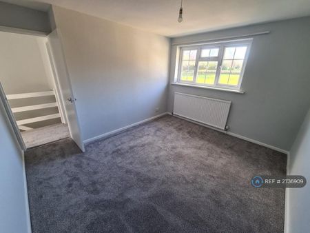 3 bedroom terraced house to rent - Photo 5