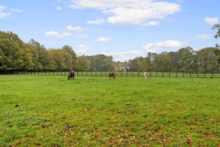 3 bedroom house to rent - Photo 5