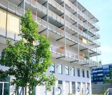 3.5 Zimmer, 98 m², 4. Stock - Photo 5