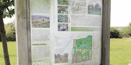 Duplex te huur in Mariakerke voor € 1.055 met 3 slaapkamers - Foto 3