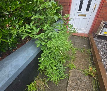 A Captivating Houseshare share for Rent in Hartlepool - Photo 2