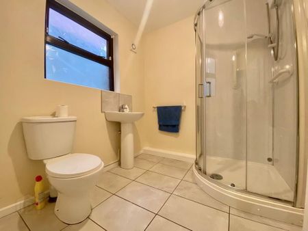 20 Symons Street, Belfast, BT12 6GA - Photo 2