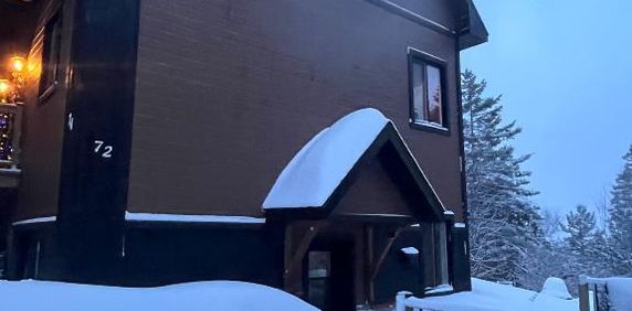 La montagne au village - Photo 2