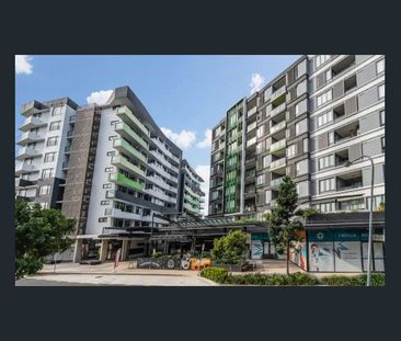 Walk to Everything - Nundah Village Lifestyle - Photo 6