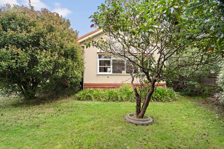 60 Pier Street, Dromana. - Photo 5