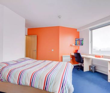 Classic Studio - Photo 4