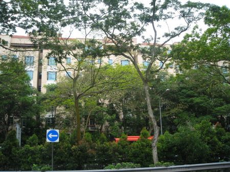 The Blossomvale (D21), Condominium - For Rent - Photo 5