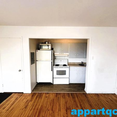 Québec – Appartement 3 1/2 spacieux et lumineux à louer au 3e étage - Photo 3