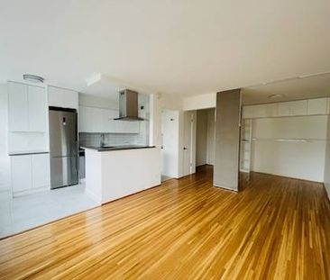 Spacious Open Concept Studio West of Denman - Photo 4