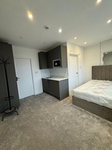 Studio Flat, Wandsworth High St, SW18 - Photo 4