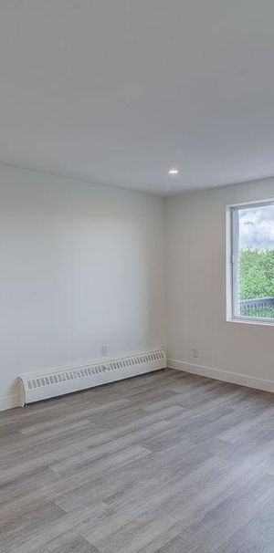 Studio Apartment For August 2026 - A louer • For Rent - Photo 1