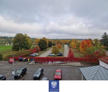 Senftenberg! Optimale 3-Zimmer-Dachgeschosswohnung für Individualis... - Photo 6