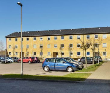 Revlingbakken - Photo 5