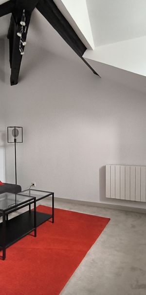 Location Appartement 1 pièce 21m² NANTES 44000 - Photo 1