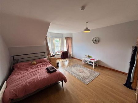 21 Eglantine Gardens, Malone Road, Belfast, BT9 6EZ - Photo 4
