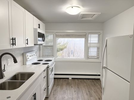For Lease - 4711 RIVER Road Unit# Unit 4, Niagara Falls, Ontario - Photo 3
