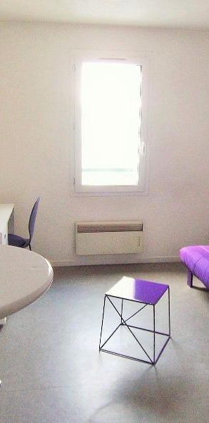 Location Appartement 1 pièce 19m² CLERMONT FERRAND 63000 - Photo 1