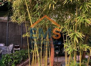 Μονοκατοικία για ενοικίαση - Άνω Πατήσια, - Photo 4