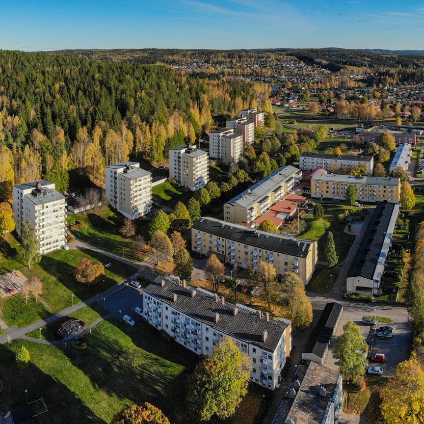 Krusbärsgården 3 - Foto 1