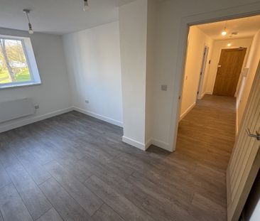 Gold Street - Photo 2