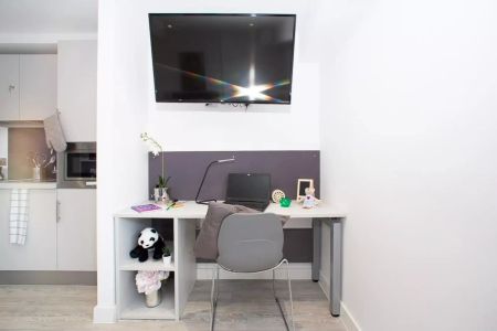 Platinum Plus Studio - Photo 5