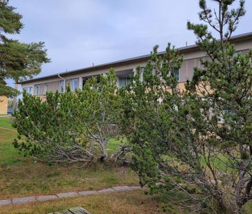 Trosalundsgatan - Photo 3