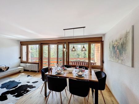 Holiday rental: Calm and tranquility just a few steps from the center - Photo 5