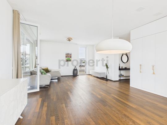 Wonderful attic apartment in Wallisellen - Photo 1