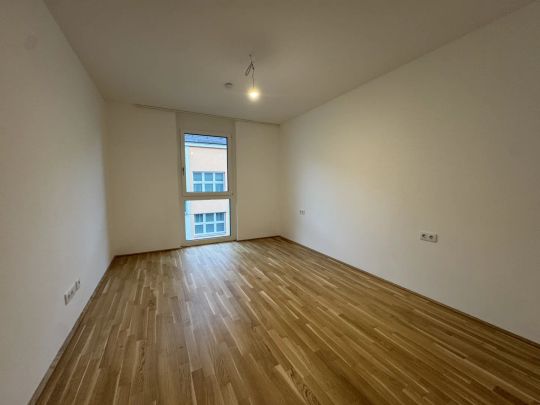 3-Zimmer Neubau! Angenehm, ruhige Lage nahe dem Riverside! JETZT ANFRAGEN! - Foto 1