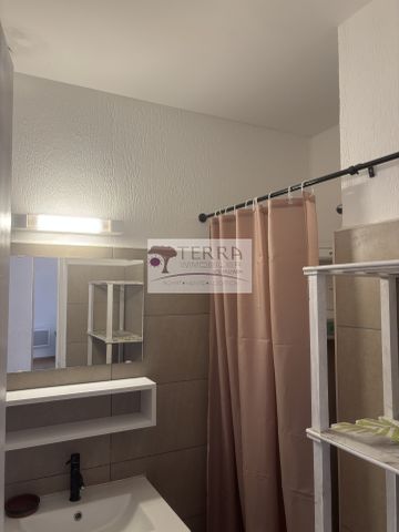 Location Maison 2 pièces 45m² CONCA 20135 - Photo 3