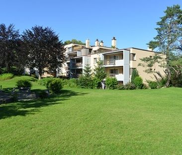 Family-built housing - Photo 6