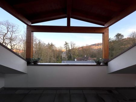 APPARTEMENT 2 PIÈCES À BERNE - WEISSENBÜHL, MEUBLÉ, TEMPORAIRE - Foto 4