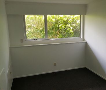 3 x bedroom Paparangi, close to schools and shops - Photo 4