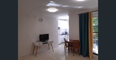 Spacious Split-level Fully Furnished One Bedroom Unit in the heart of Ultimo - Photo 3