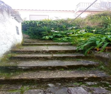 Andar de Moradia T3 - Photo 4