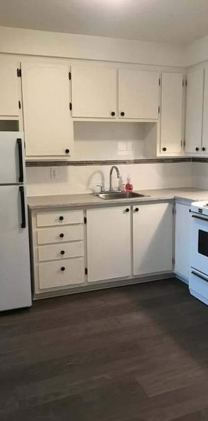 1 CH - 1 SDB - Montréal - $1,250 /mo - Photo 1