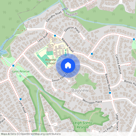 29 Simon Ellis Drive, Bayview, North Shore City