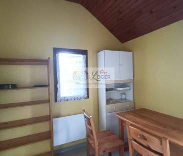 Location Appartement 1 pièce 17m² CARQUEFOU 44470 - Photo 1