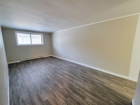 Doubletree Apts - ALL INCLUSIVE - Photo 2