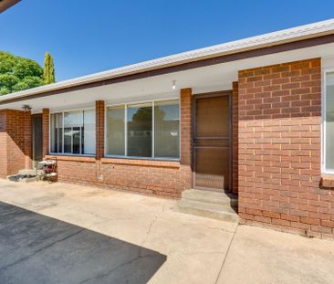 Freshly Updated Unit in Prime South Albury Location - Photo 4
