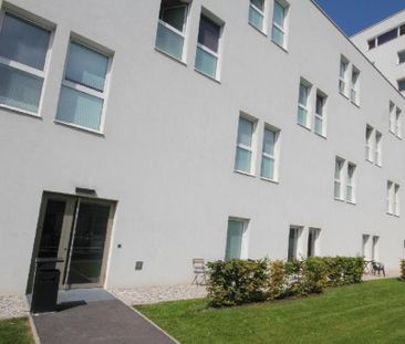 NOVE CIJENE, Samo jos 3 apartmana slobodna!!! Apartman iz snova za ... - Photo 2