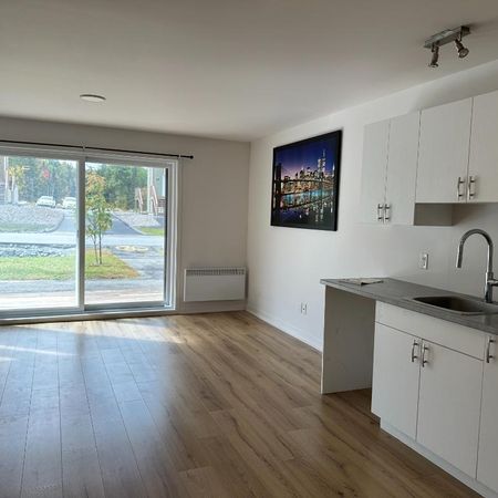 41/2 disponible 1er novembre à Mont-Blanc - Photo 3