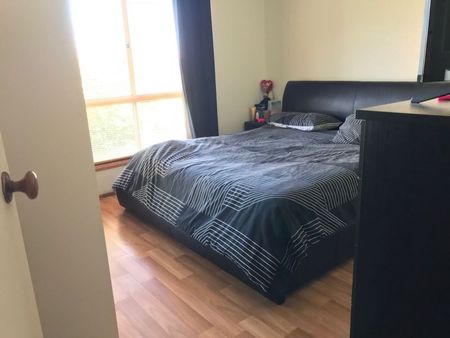 7 Young Street, Sheidow Park, SA 5158 - Photo 3