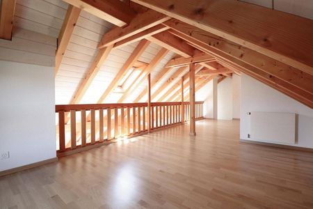 Wohntraum: Attika-Wohnung mit Galerie und Terrasse! - Photo 3