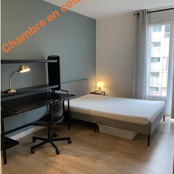 Chambre en colocation 31500, Toulouse - Photo 1