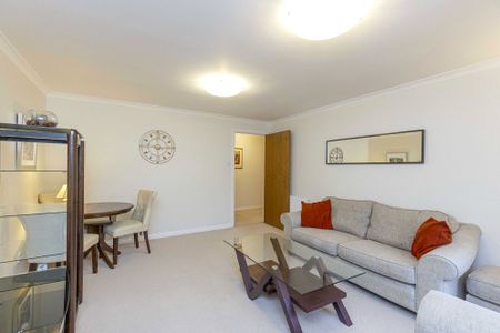 19/11 High Riggs - Photo 4